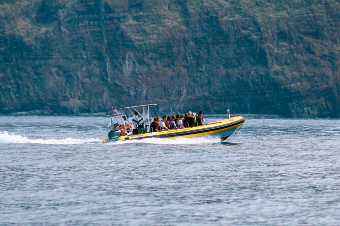 Madeira Dolphin & Whale Watching Tour - Price and value: why $58.05 can make sense