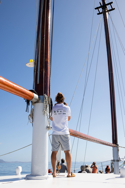 Madeira : Whales and Dolphins wooden boat excursion - The Crew and the Madeira Wine Welcome: Small Details That Make It Easier
