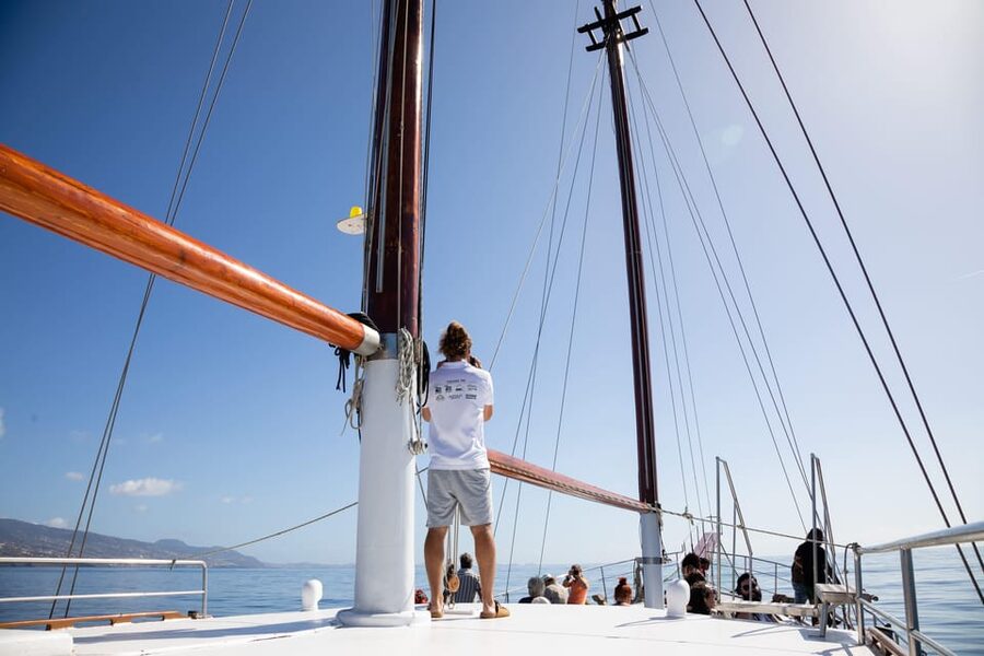 Madeira : Whales and Dolphins wooden boat excursion - Cabo Girão Swim Stop: The Nice Bonus (When the Sea and the Wildlife Timing Agree)