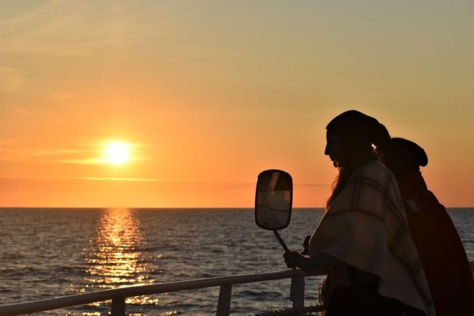 Magical Whales in the Midnight Sun | from Reykjavik - Key points you’ll care about