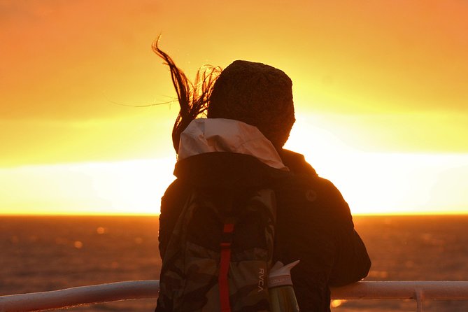 Magical Whales in the Midnight Sun | from Reykjavik - Midnight Sun Timing: What Makes This Cruise Feel Different
