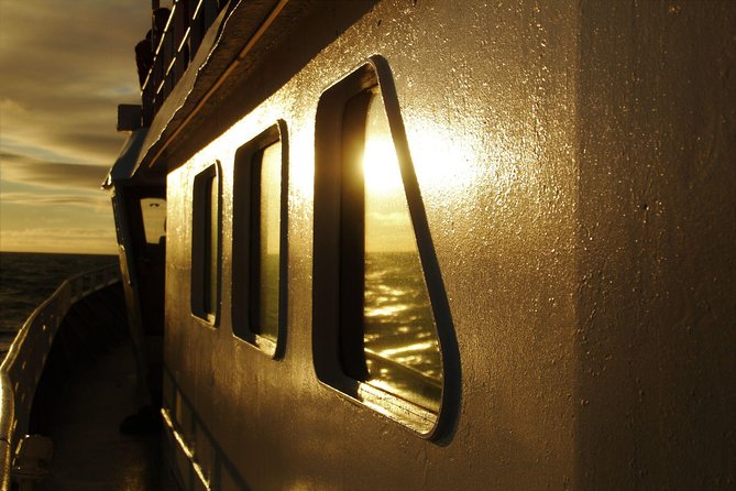 Magical Whales in the Midnight Sun | from Reykjavik - Onboard Multimedia Show and Guide Commentary