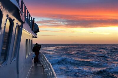 Magical Whales in the Midnight Sun | from Reykjavik - From Elding’s Meeting Point to the Whale-Watching Centre
