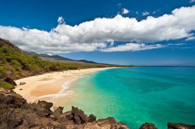 Makena Whale Watching and Snorkel - Key Things to Know Before You Go