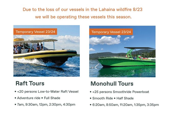 Maui Eco-Raft Tour: Eye-Level Whale or Dolphin Watching - Lahaina - Eye-level whale spotting from December to April (and how the search works)