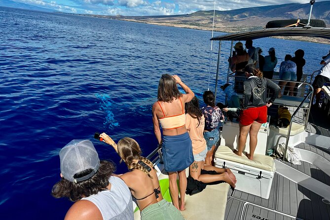 Maui Mid Day Magic Whale Watch - Key Points You’ll Care About