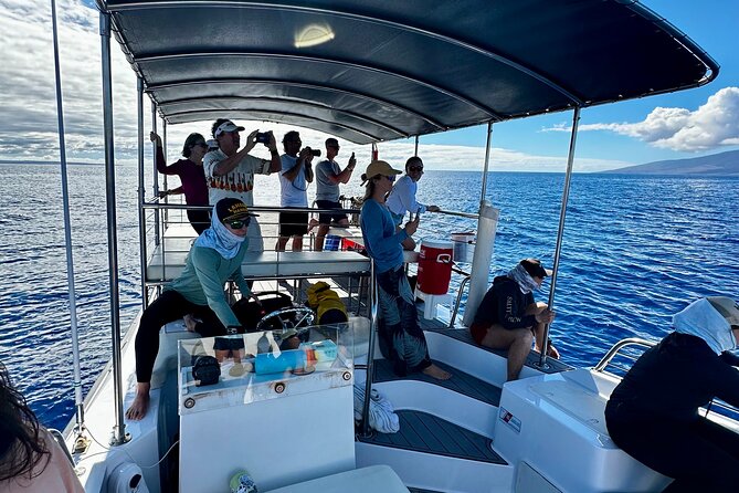 Maui Mid Day Magic Whale Watch - The Coast Cruise: What You’ll See Beyond the Whales