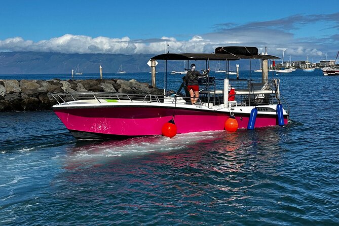 Maui Mid Day Magic Whale Watch - What’s Not Included (and What You Should Bring)