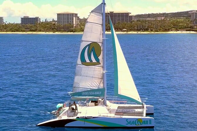 Maui: Whale Watching Cruise with Open Bar from Ka'anapali Beach - Why Ka’anapali is the right place to hunt winter humpbacks