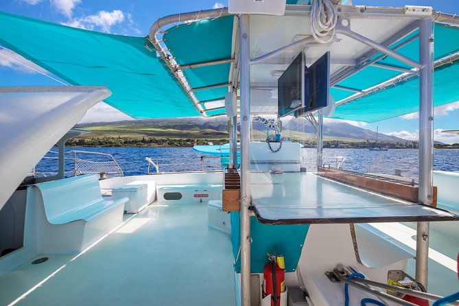 Maui: Whale Watching Cruise with Open Bar from Ka'anapali Beach - Value check: is $115.85 worth it for two hours?
