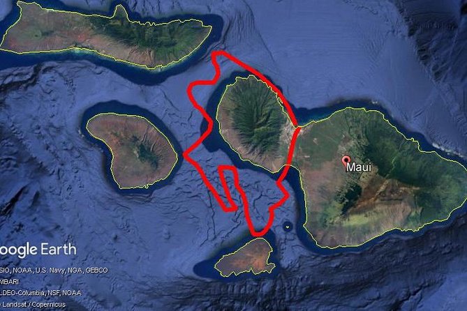 Maui Whale Watching -PRIVATE- Air Tour: (2-5 People): SEE WHALES! - Sugar Beach and Maui’s Coastal Turns