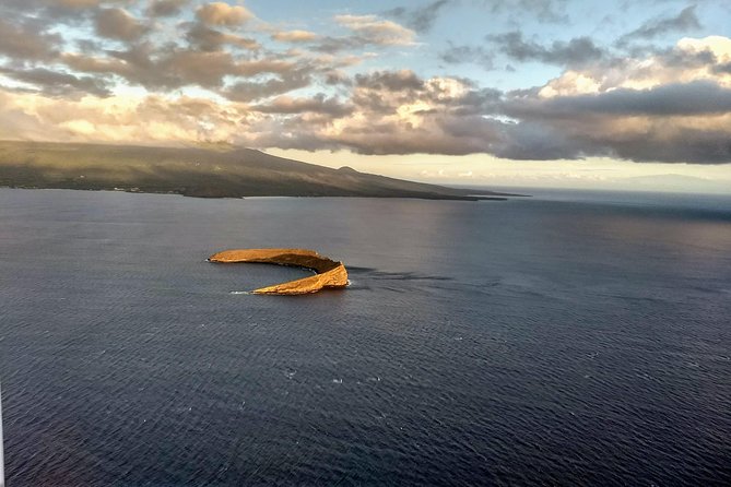 Maui Whale Watching -PRIVATE- Air Tour: (2-5 People): SEE WHALES! - Molokini Crater Waters: The Color Moment Before the Whales
