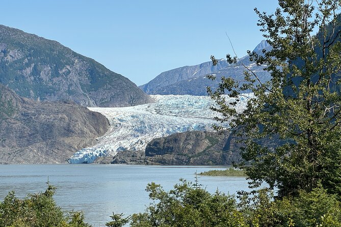 Mendenhall Glacier and Whale Watching Tour - Mendenhall Glacier: Photo Point timing and salmon-stream chances