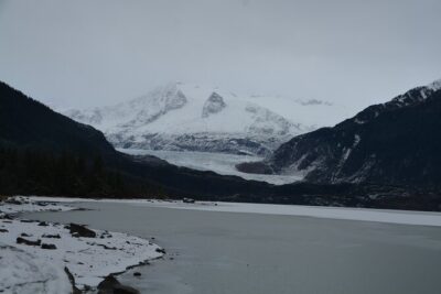Mendenhall Glacier and Whale Watching Tour - Whale watching from Auke Bay: how the jet boat hunt works