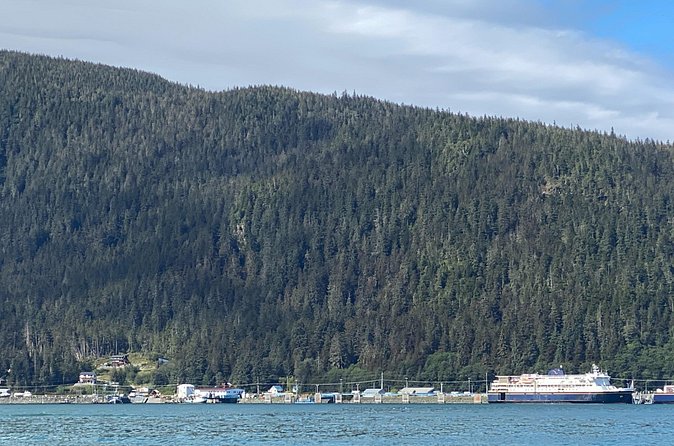 Mendenhall Glacier Waterfall and Whale Watching Tour - Whale watching from Auke Bay: jet-boat energy and real searching