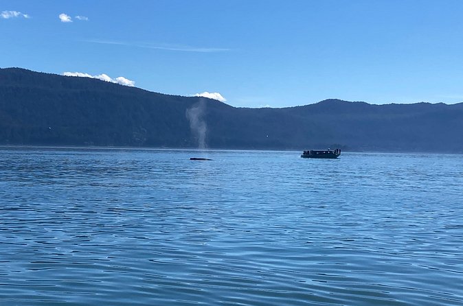 Mendenhall Glacier Waterfall and Whale Watching Tour - What’s included (and what isn’t): snacks, binoculars, and the human part