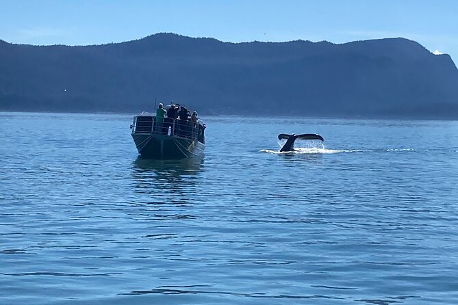 Mendenhall Glacier Waterfall and Whale Watching Tour - Nugget Falls hike: easy on paper, worth it in real life