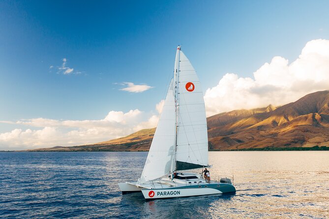 Midmorning Whale Watch from Lahaina Harbor - The crew’s role: anecdotes you can actually use while you watch