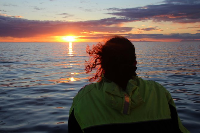 Midnight Sun Whale Watching from Reykjavik - Whales and midnight sun: why this combo works from Reykjavik