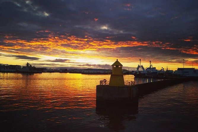 Midnight Sun Whale Watching from Reykjavik - Price and value: is $109.34 actually fair?