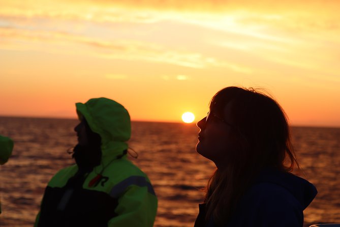 Midnight Sun Whale Watching from Reykjavik - From Old Harbour to Faxaflói Bay: what your 2.5 hours look like