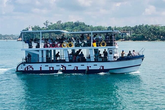 Mirissa Whale & Dolphin Watching Cruise with Geeth’s Crew - Key things to know before you go