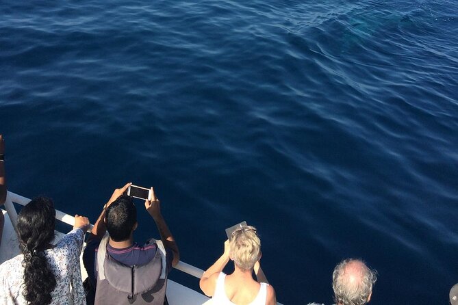 Mirissa Whale & Dolphin Watching Cruise with Geeth’s Crew - Getting to the port: pickup help, but not full door-to-door