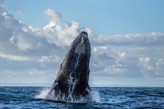 Monterey Bay Whale Watching - Moss Landing, Not Just Monterey: Where the Boat Leaves