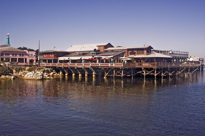 Monterey Whale Watching Tour - Key reasons this Monterey whale watching tour is popular