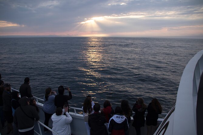 Monterey Whale Watching Tour - Why Monterey Bay whale watching is a year-round draw
