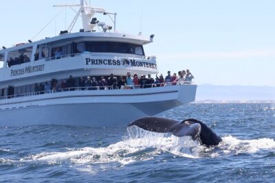 Monterey Whale Watching Tour - Getting set up at Fisherman’s Wharf and boarding a 100–110ft boat