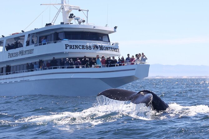 Monterey Whale Watching Tour - Getting set up at Fisherman’s Wharf and boarding a 100–110ft boat
