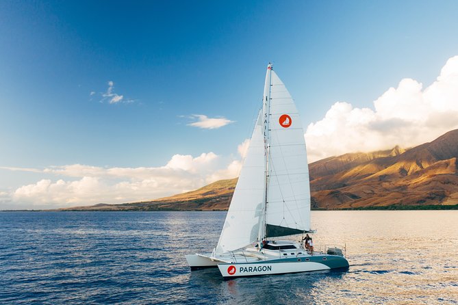 Morning Whale Watch: Lahaina Harbor - Key Highlights at a Glance