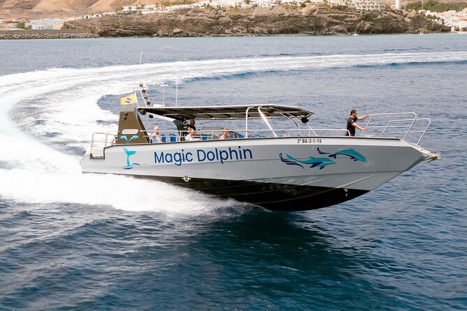 Morro Jable: 2 Hours Magic Dolphin & Whale watching with Drinks & Swim Stop. - Speed, spray, and comfort: the main “consideration” before you book