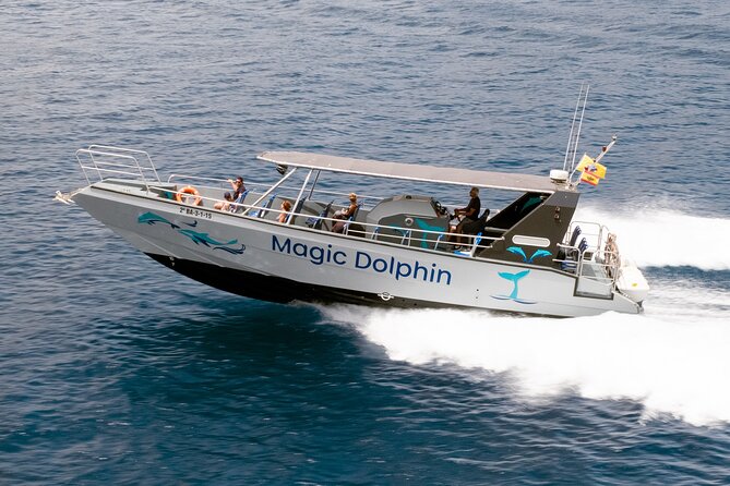 Morro Jable: 2 Hours Magic Dolphin & Whale watching with Drinks & Swim Stop. - Out on the water: how dolphin and whale spotting actually plays out