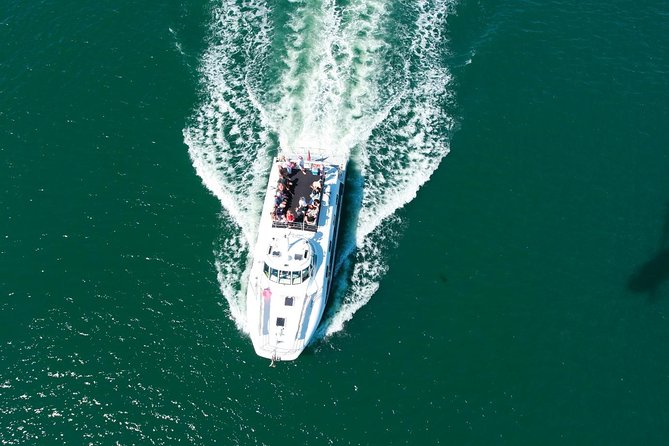 Newcastle Whale Watching Cruise - NOVA Cruises and the Newcastle humpback run: what makes this cruise work