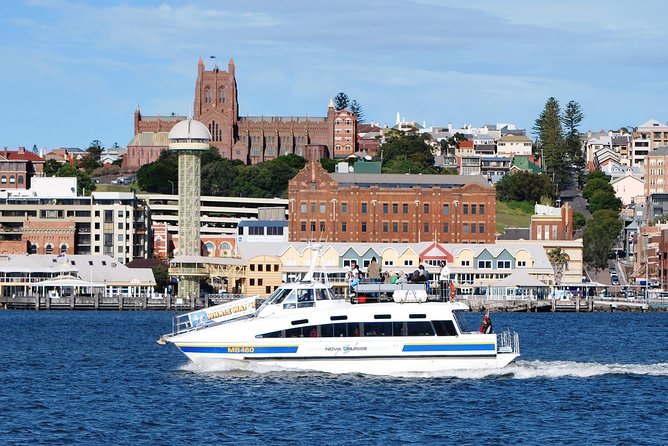 Newcastle Whale Watching Cruise - Getting underway at Honeysuckle: your first viewing window