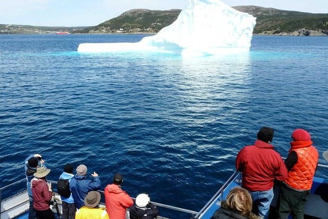 Newfoundland Puffin and Whale Watch Cruise - St. John’s to Bay Bulls: getting on the water without fuss
