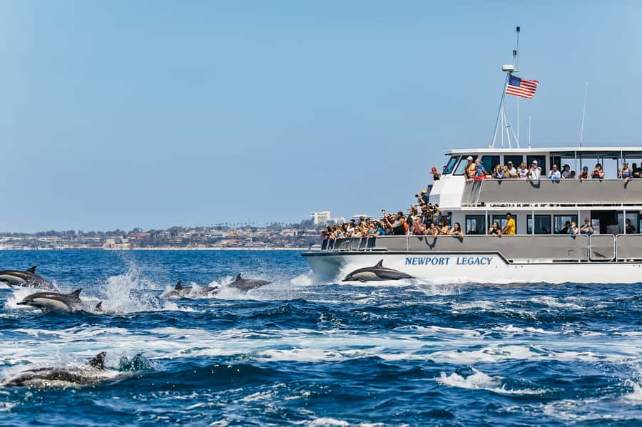 Newport Beach: 2-Hour Whale Watching Tour - The scenic run: Balboa Island, Corona del Mar, and Crystal Cove
