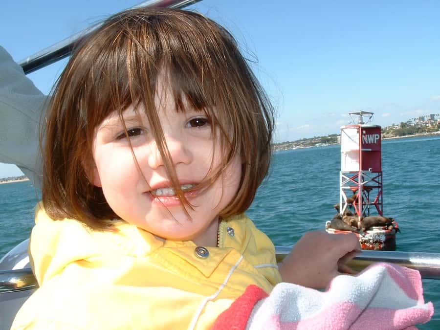 Newport Beach: 2-Hour Whale Watching Tour - Newport Beach watch time: where dolphins steal the show