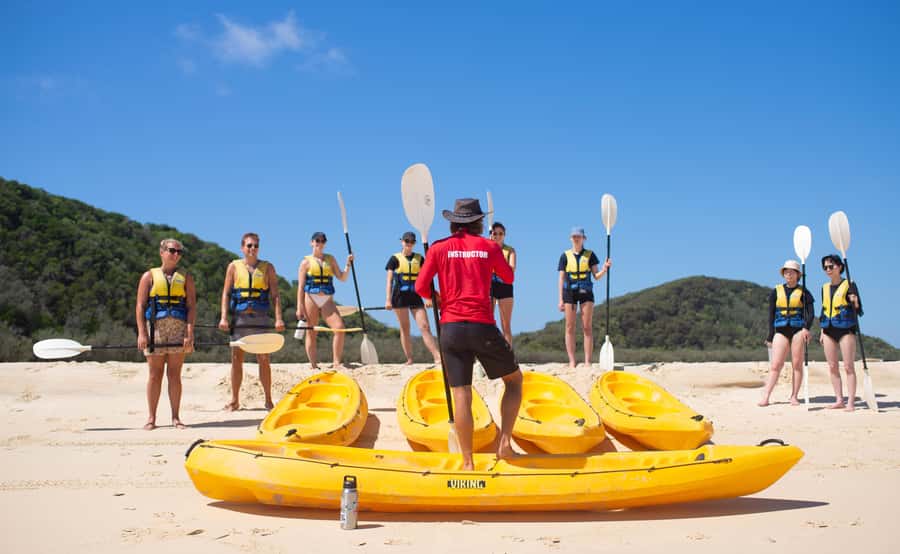 Noosa: Epic Whale Watching Ocean Kayak Tour & Beach 4X4 - On the water: what the kayak experience feels like