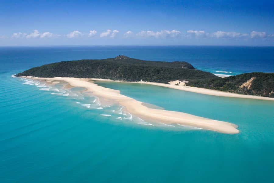 Noosa: Epic Whale Watching Ocean Kayak Tour & Beach 4X4 - Practical tips to make the day smoother