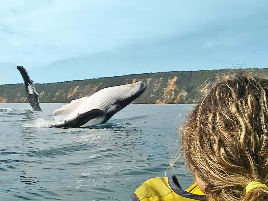 Noosa: Epic Whale Watching Ocean Kayak Tour & Beach 4X4 - Double Island Point free time: stretch, reset, and prep for the water