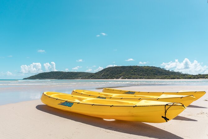 Noosa: Epic Whale Watching On Ocean Kayaks & Beach 4X4 Tour - Ocean Kayaking Time: What You’ll Do on the Water