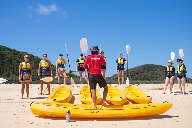 Noosa: Epic Whale Watching On Ocean Kayaks & Beach 4X4 Tour - Swimming Is Built In: Quick Water Time, Real Choice