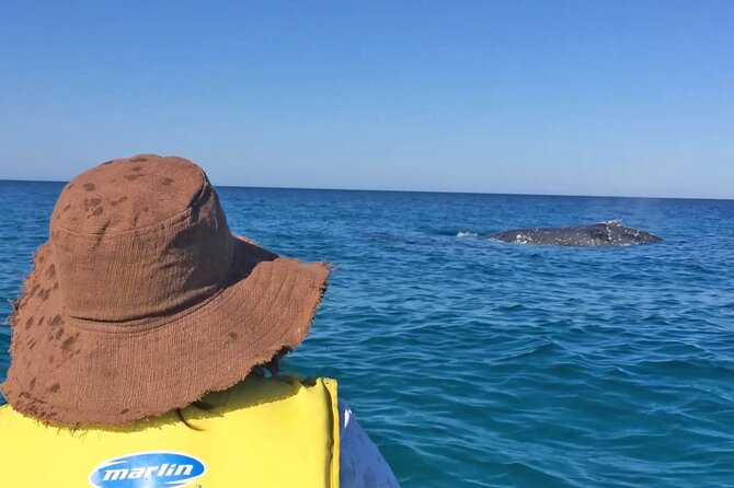 Noosa: Epic Whale Watching On Ocean Kayaks & Beach 4X4 Tour - The 4X4 Beach Drive Into Great Sandy National Park
