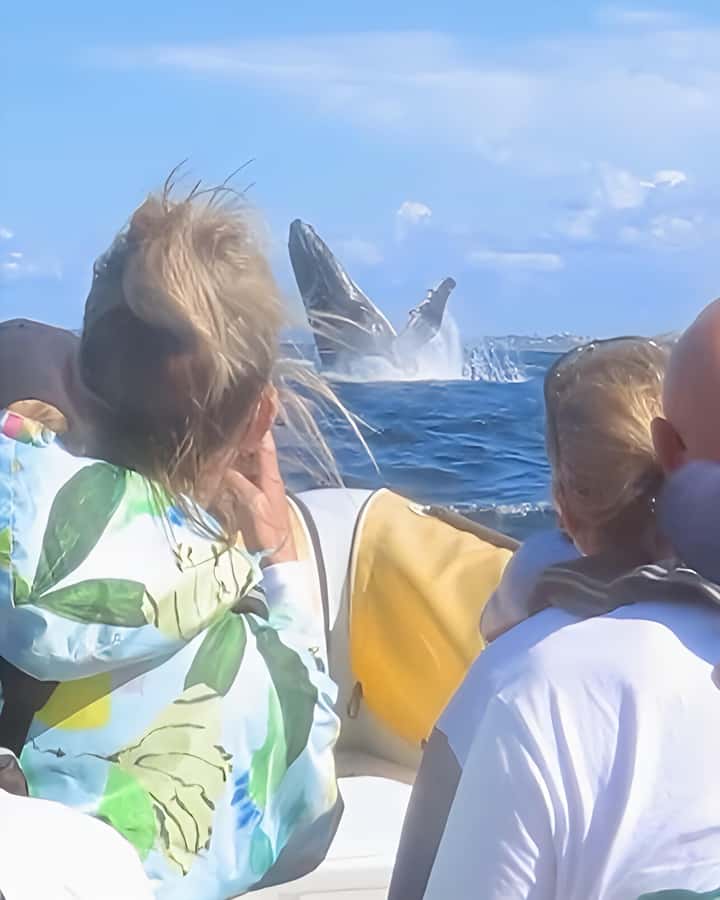 Noosa: Noosa Whale Watching Tour - Out toward the headland: how the search shapes your time