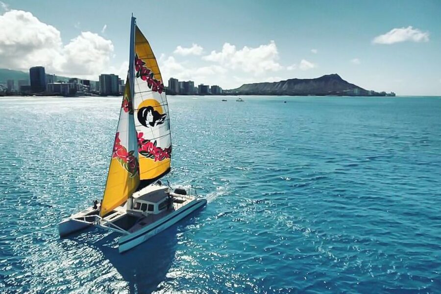 Oahu: Waikiki Eco-Friendly Morning Whale Watching Cruise - Key Things I’d Lock In Before You Go