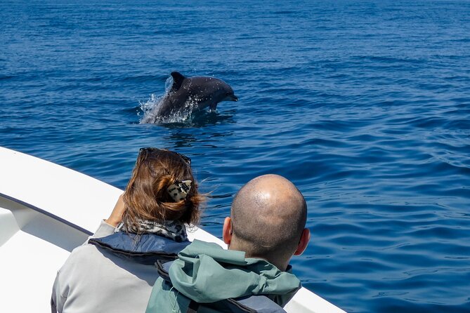 Observation of Dolphins and Whales with Marine Biologist in Arrábida - Meeting at DayDream Experience: the simple plan that keeps things smooth