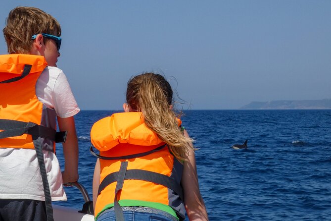 Observation of Dolphins and Whales with Marine Biologist in Arrábida - Swimming, sea caves, and the wild-beach feel (when conditions allow)